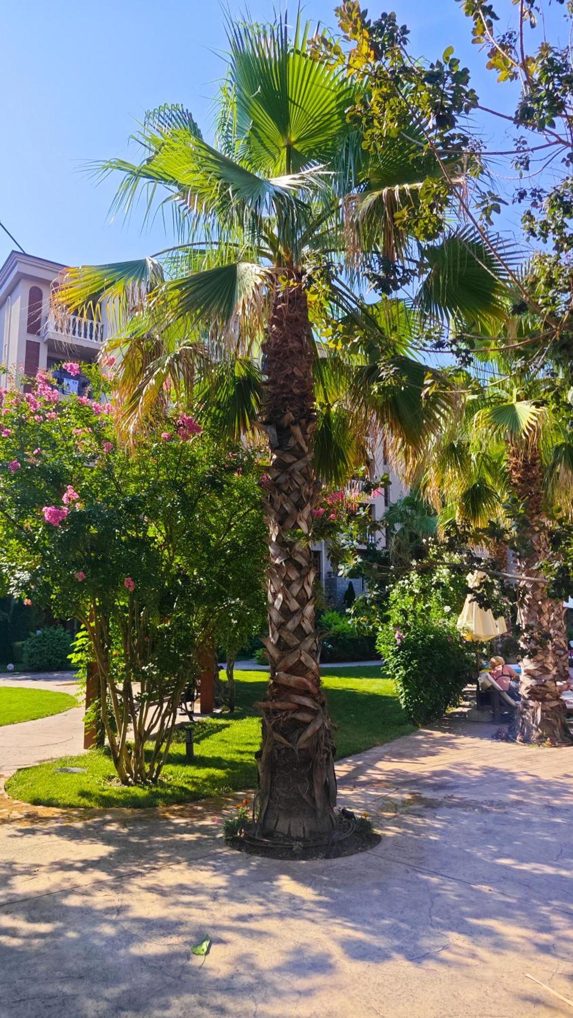 Attractive Family Apartment In Sunny Beach Cascadas Family Resort Exterior foto
